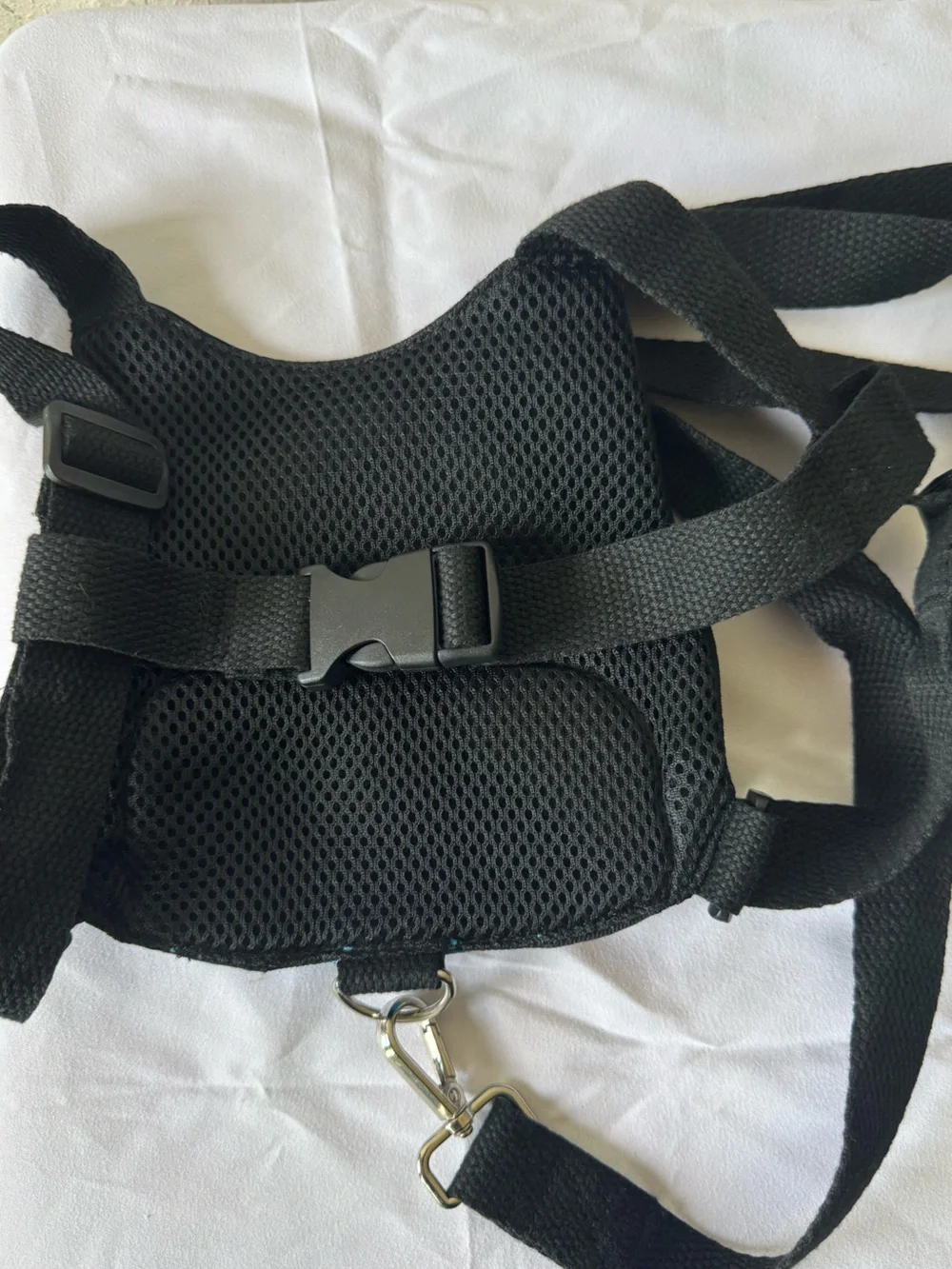 Amazon Kids Dinosaur Safety Harness and Wrist Leash in Black, Blue and Yellow